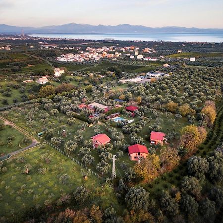 La Piana Degli Ulivi Bed & Breakfast Rossano Eksteriør bilde