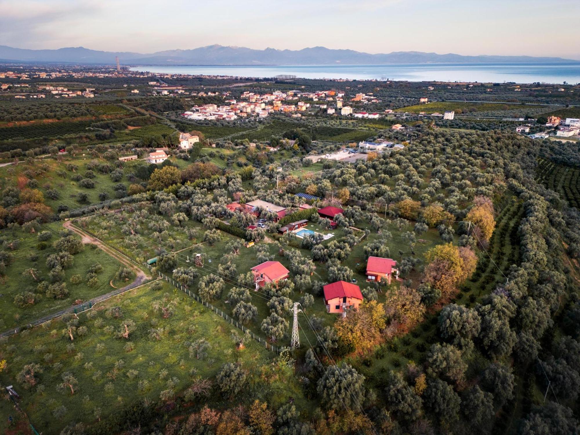 La Piana Degli Ulivi Bed & Breakfast Rossano Eksteriør bilde