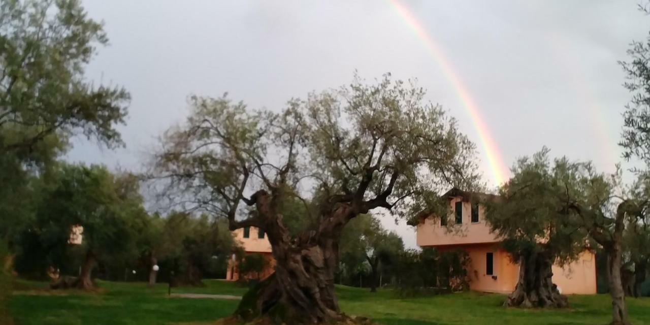 La Piana Degli Ulivi Bed & Breakfast Rossano Eksteriør bilde